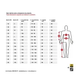 Hose mit grau/blauem M44/S-Brustpanzer – Bild 1 von