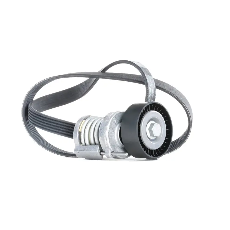 SET CUREA TRANSMISIE CU CANELURI