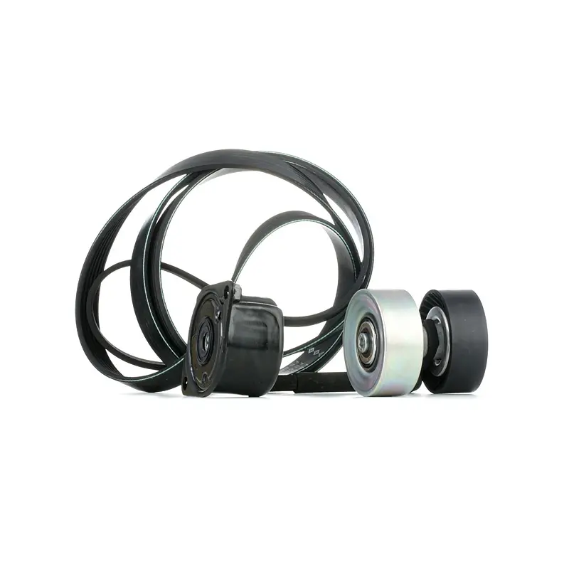 SET CUREA TRANSMISIE CU CANELURI