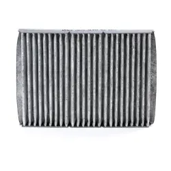 FILTRU AER HABITACLU VALEO 698716