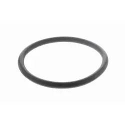 GARNITURA TERMOSTAT STC T402351