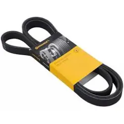 KEILRIPPENRIEMEN CONTINENTAL CTAM 8PK1371