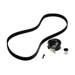 SET CUREA DE DISTRIBUTIE Schaeffler INA 530017010