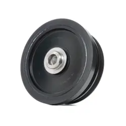 FULIE CUREA ARBORE COTIT Schaeffler INA 544008210