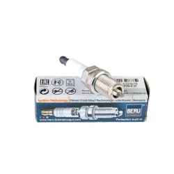 BUJII BERU by DRiV Z347