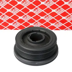 FULIE CUREA ARBORE COTIT FEBI BILSTEIN 27340