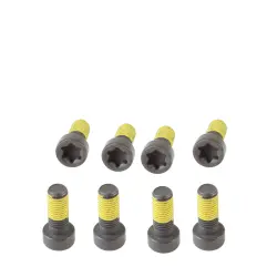 SET SURUB VOLANTA Schaeffler LuK 411022610