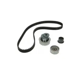 SET CUREA DE DISTRIBUTIE Schaeffler INA 530000710