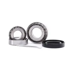 SET RULMENT ROATA SNR R18452