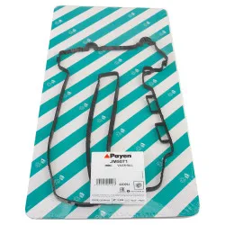 GARNITURA CAPAC SUPAPE PAYEN JM5071
