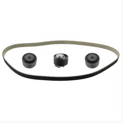 SET CUREA DE DISTRIBUTIE Schaeffler INA 530076510