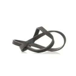 CUREA TRANSMISIE CU CANELURI DAYCO 4PK841