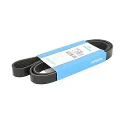 CUREA TRANSMISIE CU CANELURI DAYCO 6PK1560