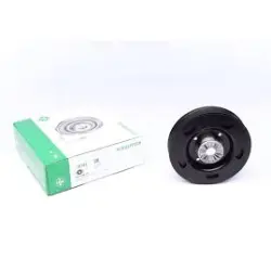 FULIE CUREA ARBORE COTIT Schaeffler INA 544015810