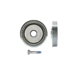 SET FULIE ARBORE COTIT Schaeffler INA 544011220