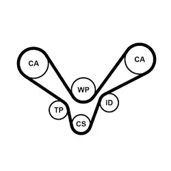 SET CUREA DE DISTRIBUTIE CONTINENTAL CTAM CT1015K1