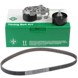 SET CUREA DE DISTRIBUTIE Schaeffler INA 530033210