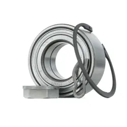 SET RULMENT ROATA SNR R16613