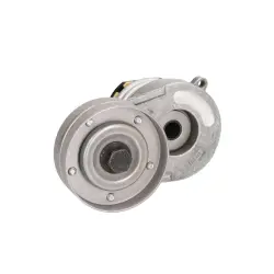 INTINZATOR CUREA CUREA DISTRIBUTIE Schaeffler INA 534008230
