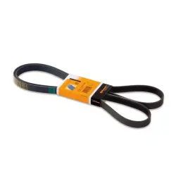 CUREA TRANSMISIE CU CANELURI CONTINENTAL CTAM 6PK1244