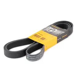 CUREA TRANSMISIE CU CANELURI CONTINENTAL CTAM 7PK2000