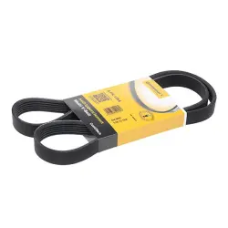 CUREA TRANSMISIE CU CANELURI CONTINENTAL CTAM 6PK1264