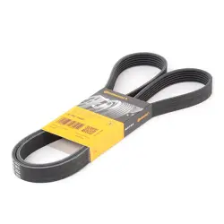 CUREA TRANSMISIE CU CANELURI CONTINENTAL CTAM 6PK1560