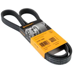 CUREA TRANSMISIE CU CANELURI CONTINENTAL CTAM 6PK1250