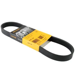 KEILRIPPENRIEMEN CONTINENTAL CTAM 6PK737